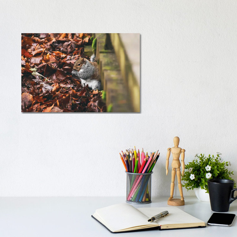 Hidden Squirrel 1 Piece Wrapped Canvas Painting, 20.32 cm H x 30.48 cm W