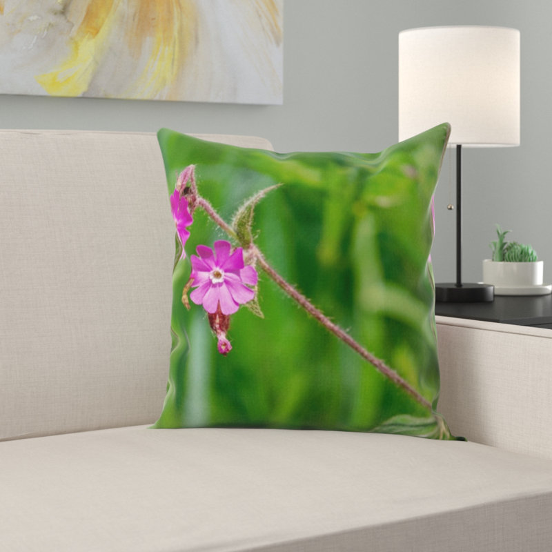 Coussin campion