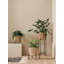 Vivi Plant Stand