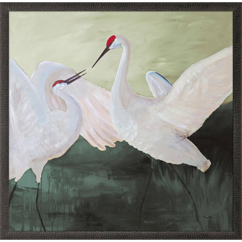 White Sandhill Cranes, impression sur papier encadrée
