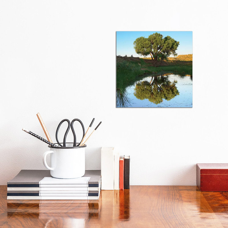 Tree Reflecting In Creek Near Black Mesa State Park, Oklahoma 1 Piece Wall Art on Canvas, 30.48 cm H x 30.48 cm W, Canvas