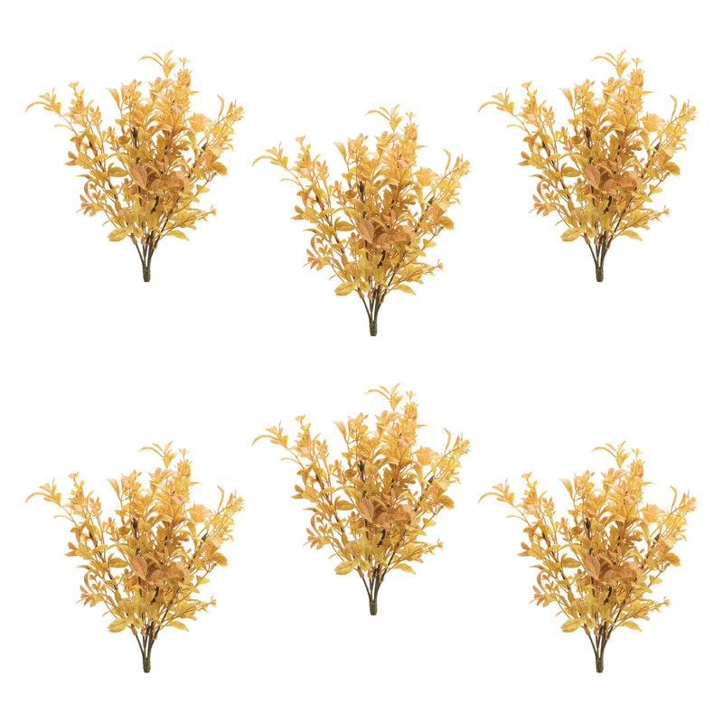 Mixed Fall Foliage Bush