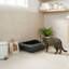 Plastic Litter Box-621690196
