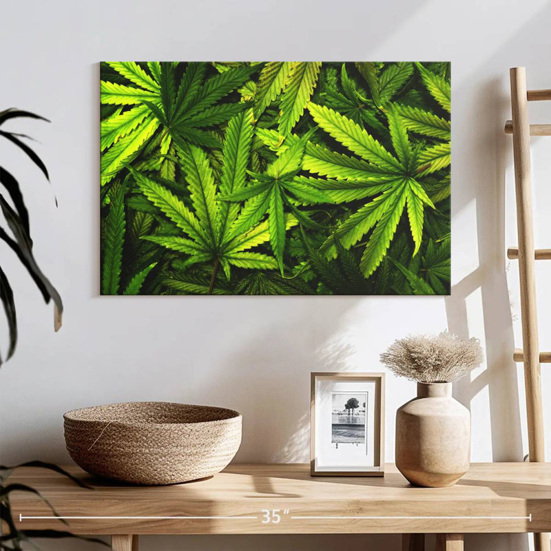 Jardin de feuilles de marijuana, H 16 po x l 24 po
