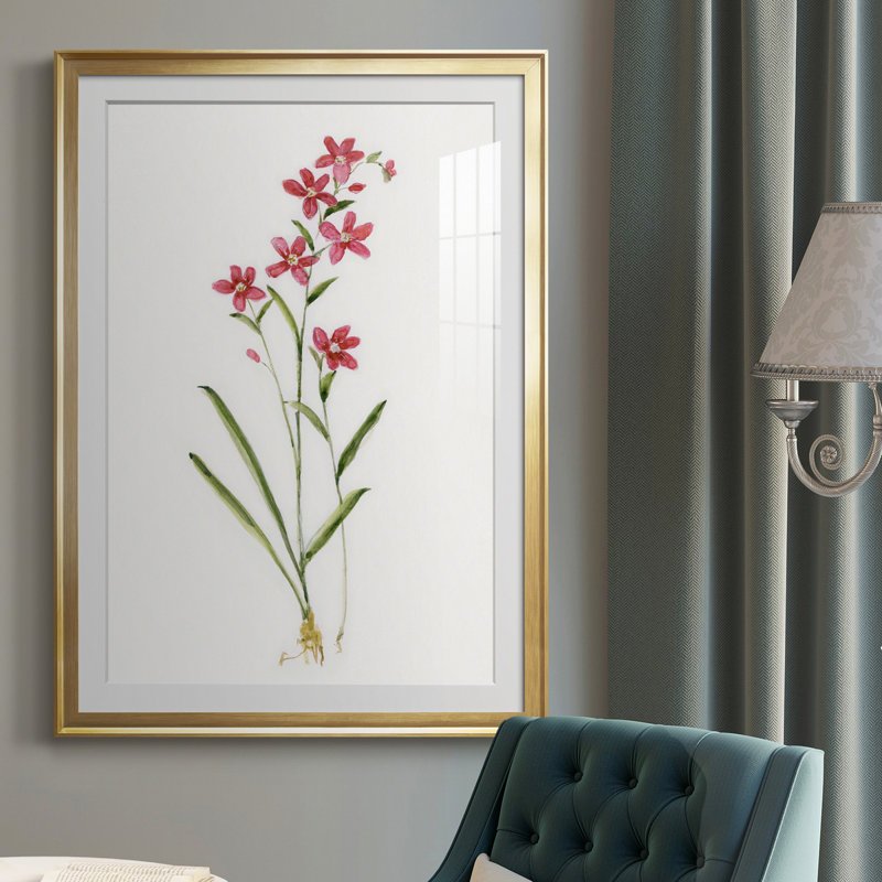 Délicat rose I - Cadre photo, reproduction d'art sur papier, Or, H 26,5 po x l 36,5 po x P 1,5 po