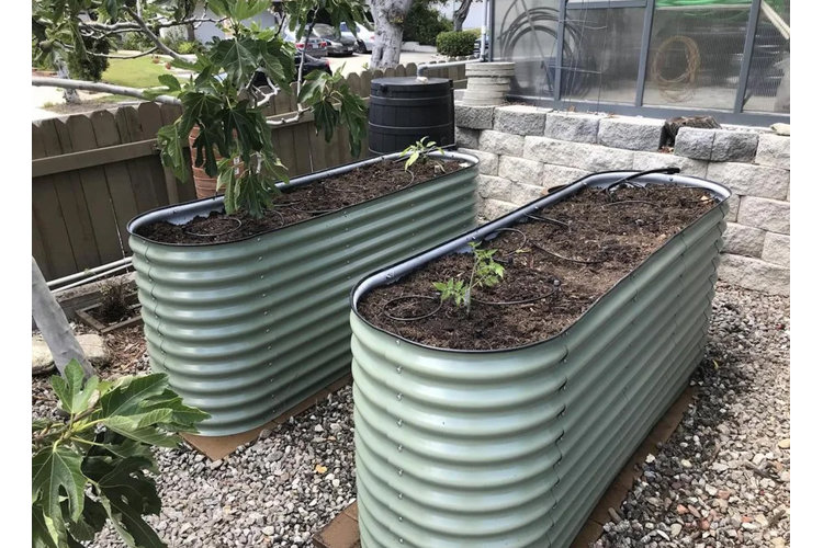 two oval steel raised bed gardens with an irrigation system in them