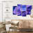 Harnek Purple Hydrangeas-108848761