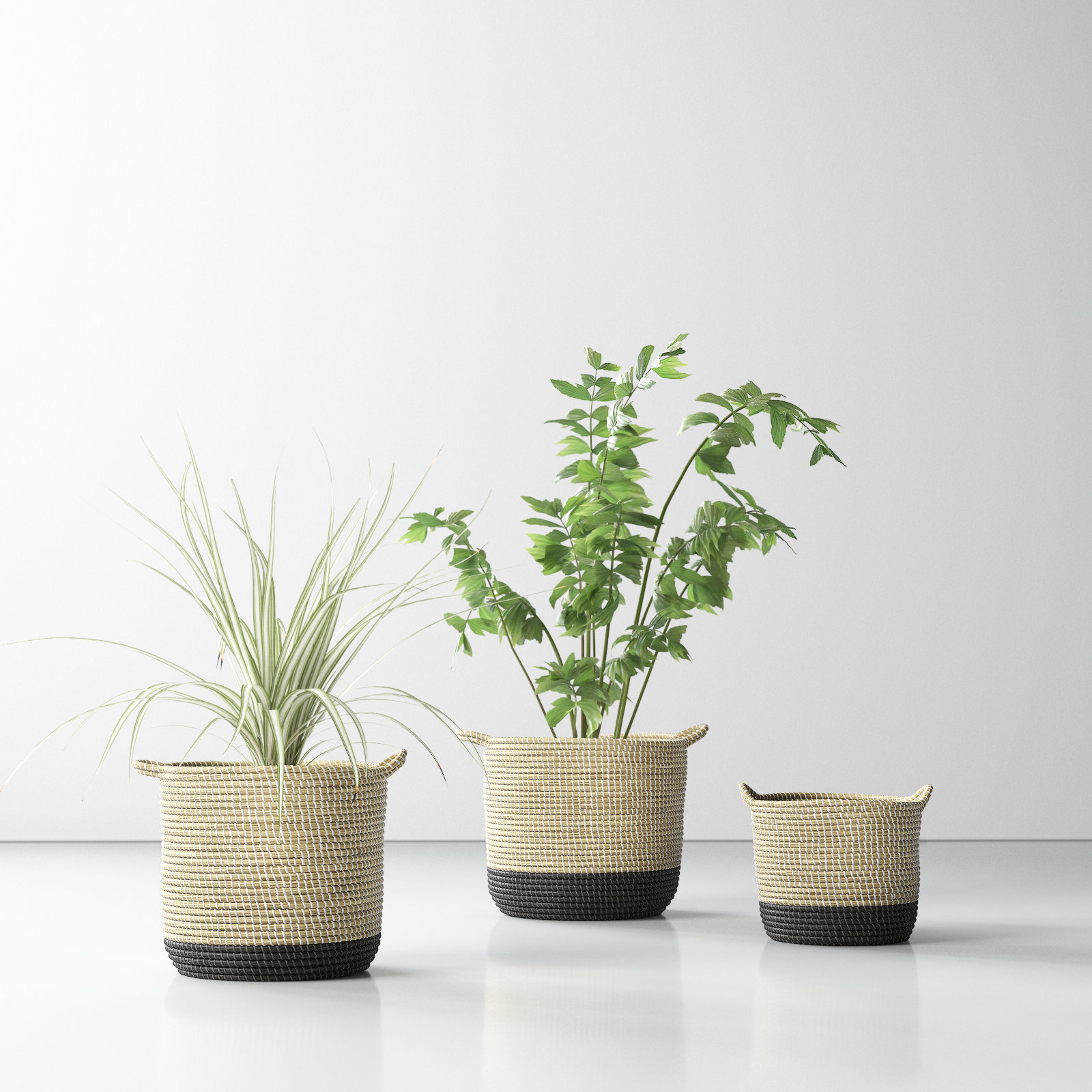 Salazar Handmade Seagrass Decorative Basket