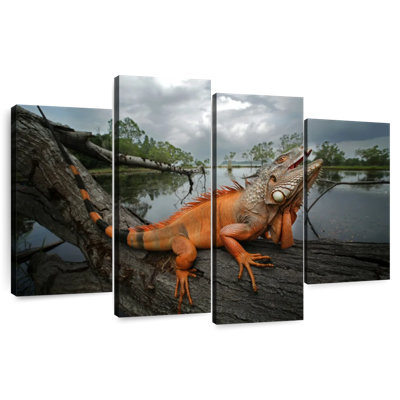 Brampt Orange Iguana