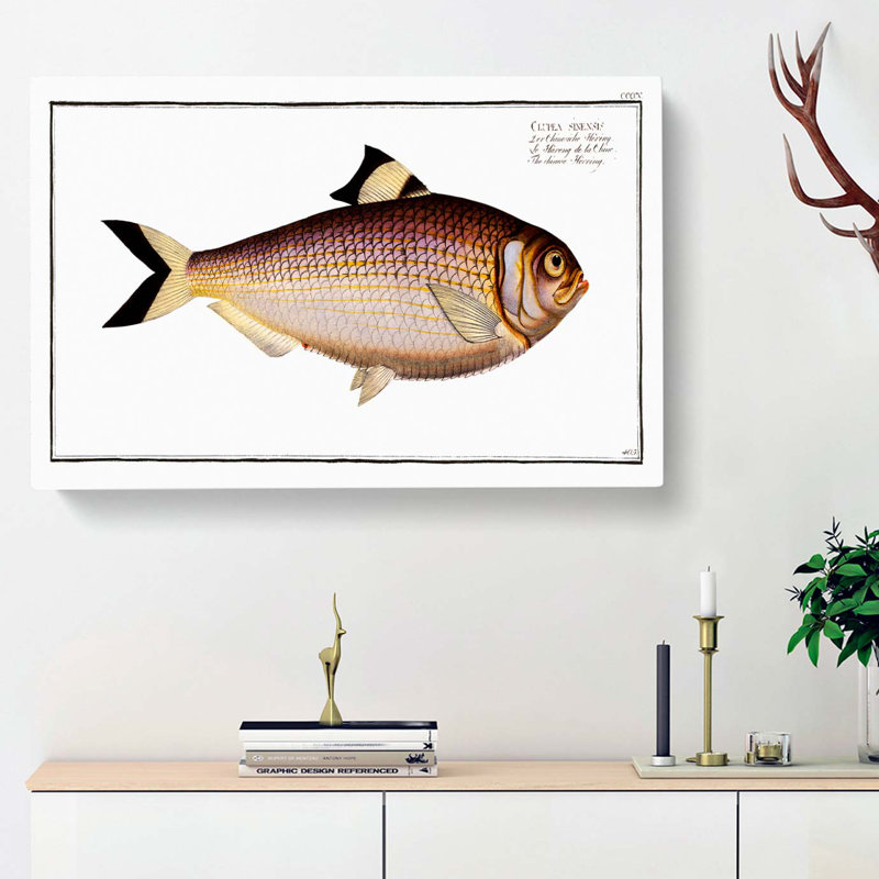 Chinese Herring Fish by M.E. Bloch - Wrapped Canvas, 40cm H x 60cm W x 3cm D