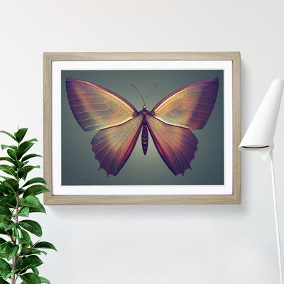 Compelling Butterfly - Framed Print