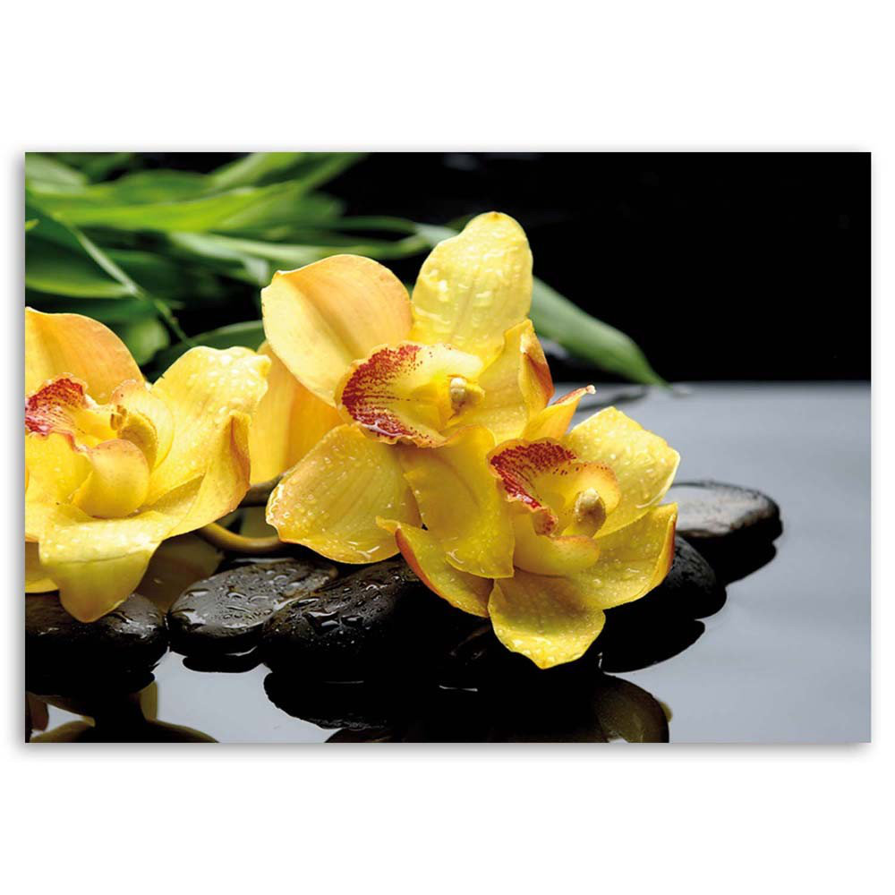 Leinwandbild Daffodils And Zen Stones 31236