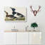 Ring-Necked Ducks by John Audubon - Wrapped Canvas-55323290
