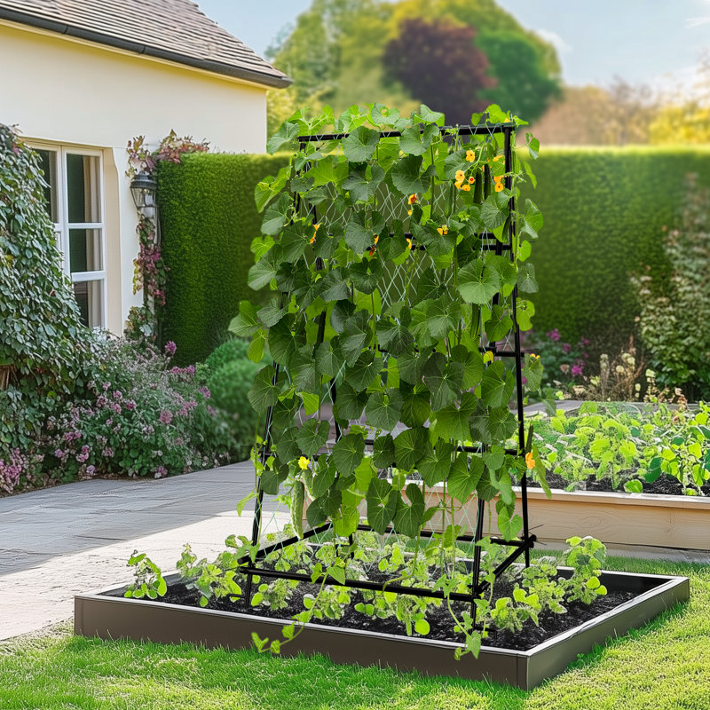 Cerciz 176cm H x 105cm W Metal Trellis