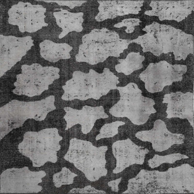 Indoor Rug