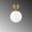 Luminaire suspendu simple à 1 lumière Shaylan