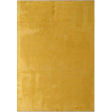Rapture Area Rug in Yellow
