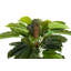 170cm Faux Banana Leaf Plant in Pot