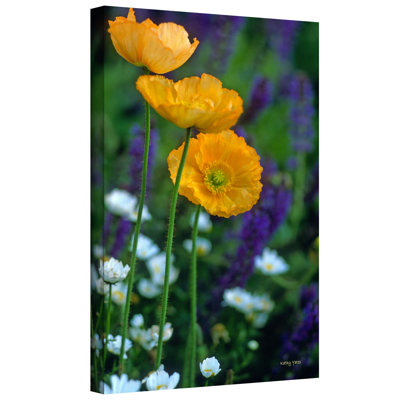 " La Playa Poppies " by Kathy Yates