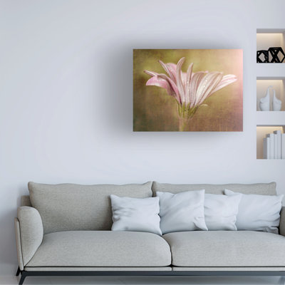 «Pretty in Pink», reproduction sur toile tendue