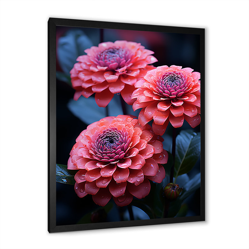 Zinnias Neon Pink Garden sur toile, Cadre simple noir, H 20 po x l 12 po x P 1 po
