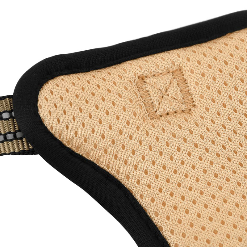 Pet Carrier, Brown