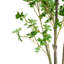 Faux Bonsai Tree in Pot-760590342