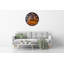 Jonnae Glass Wall Clock