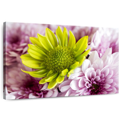 Harnek Yellow Daisy