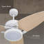 Light Pro 52 po Ventilateur de plafond intelligent DEL blanc avec télécommande