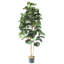 180cm Faux Fig Tree in Pot Liner