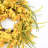 26" Farmhouse Fall Thanksgiving Days Flower Wreath for Front Door