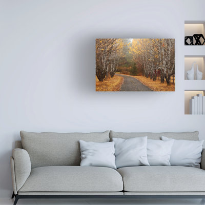 Bolog Mike Jones Photo Coeur Dalene Fall Road Canvas Art