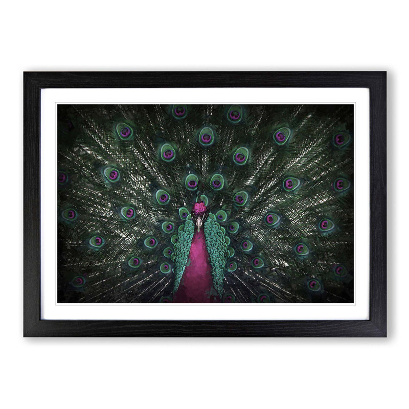 Mesmerising Pink & Green Peacock - Picture Frame Graphic Art Print on MDF, 48cm H x 65cm W x 2cm D, Black Framed