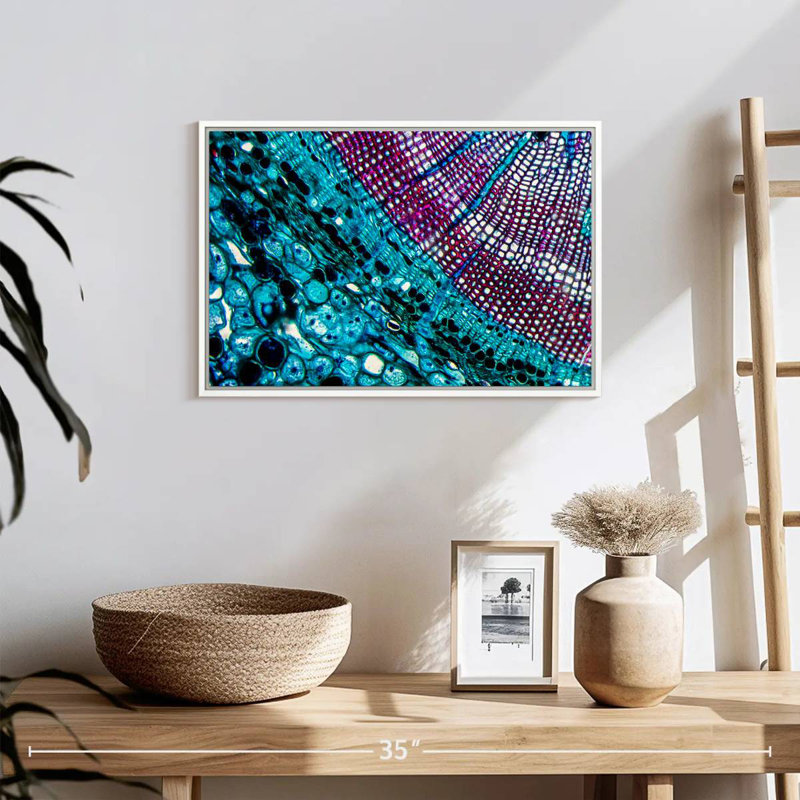 Pine Stem Under Microscope, Floating Frame White, 19" X 13"