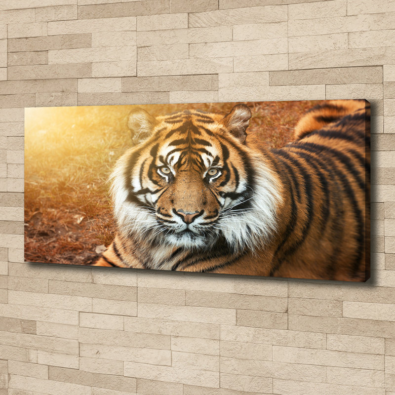 Bengal Tiger - No Frame Print on Canvas