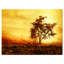« africain tree silhouette », impression sur toile tendue-26126774-33219936