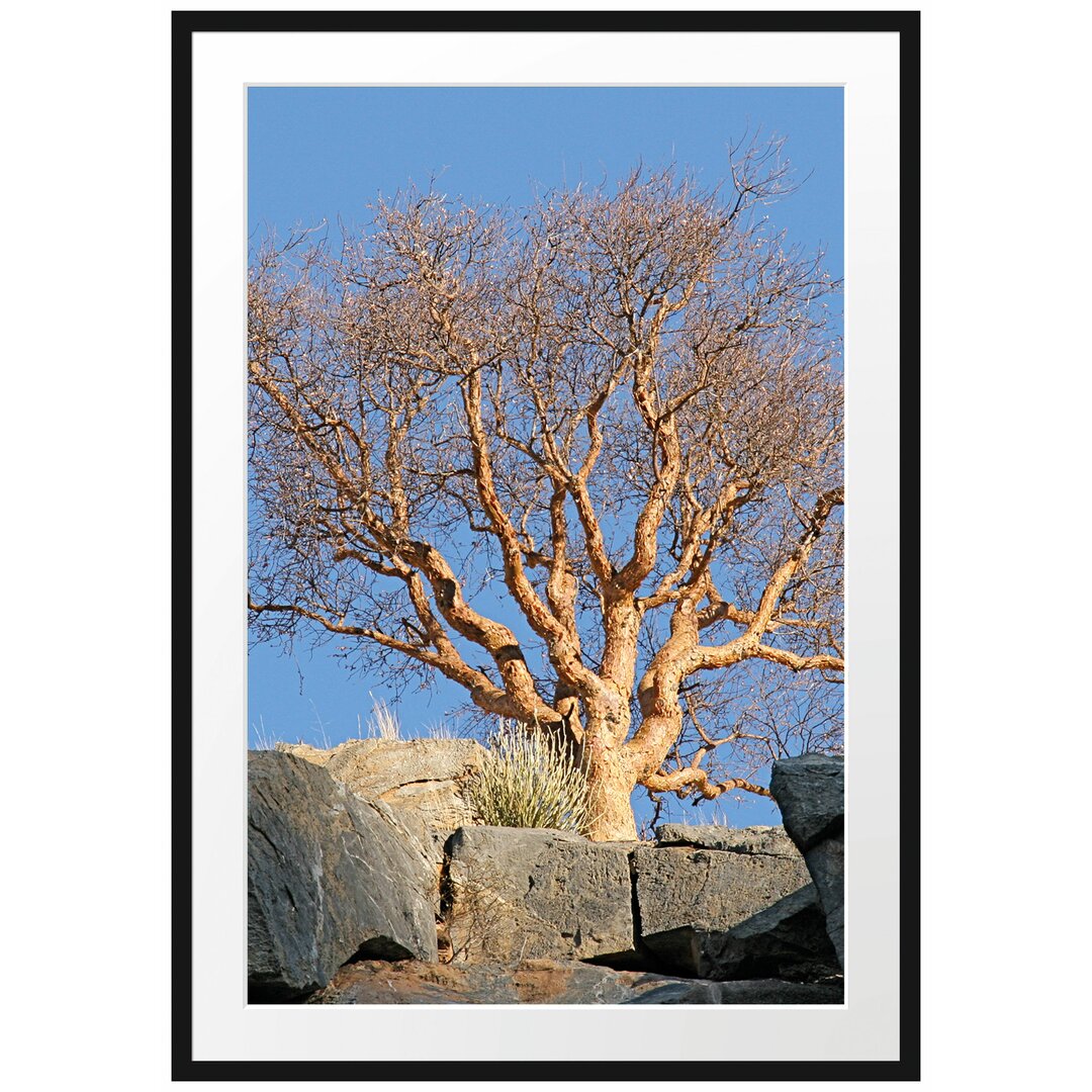 Gerahmtes Poster Einsamer Baum im Gebirge