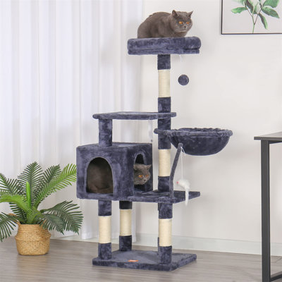 Arbre à chat Evola