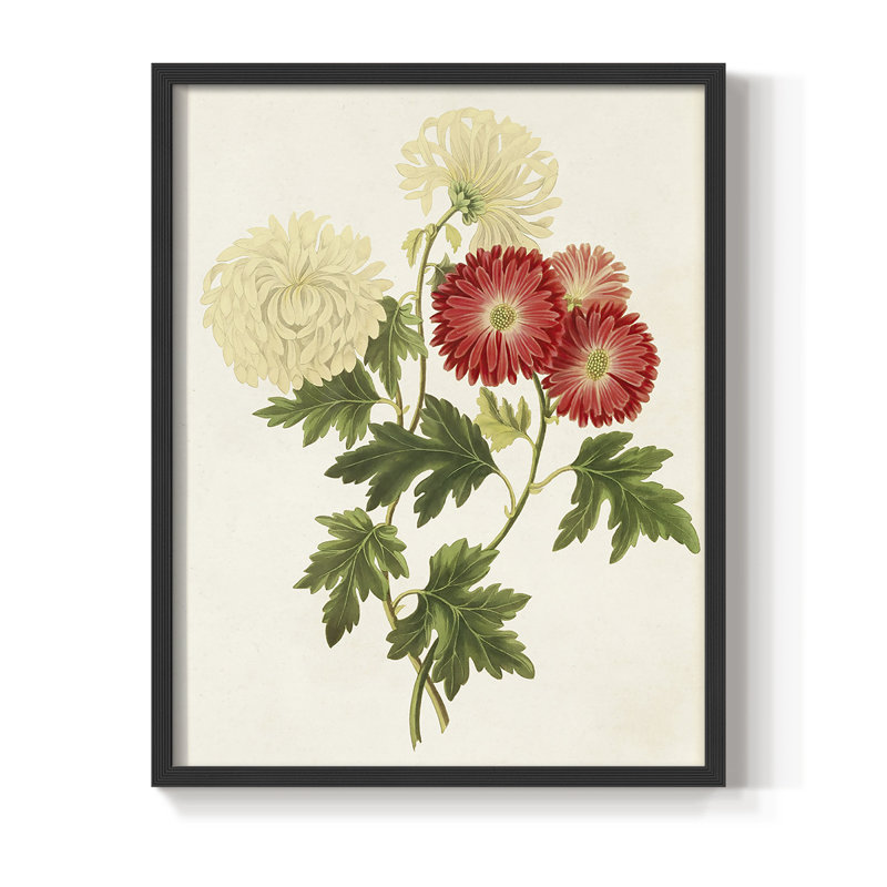 Fleurs des saisons I, reproduction encadrée - bois massif, Noir, H 14 po x l 11 po