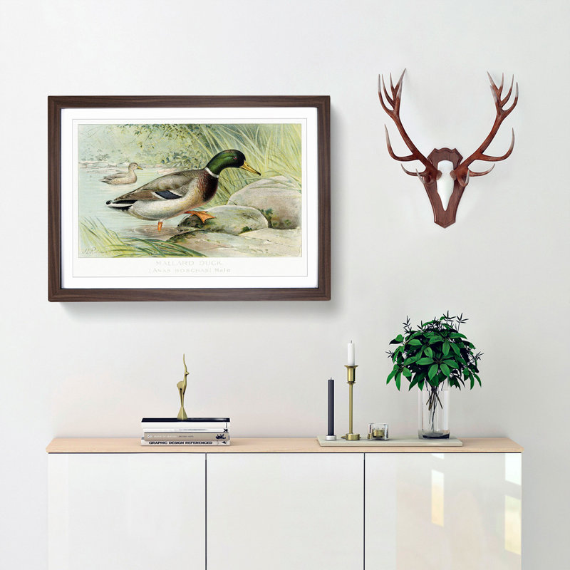 Mallard Duck by J.L. Ridgway - Framed Print, 48cm H x 65cm W x 2cm D, Walnut Framed