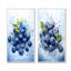 Ballet Blue Berry Ballet Fruit - fruits, ensemble de 2 reproductions d'art mural-1677172926-1677172913