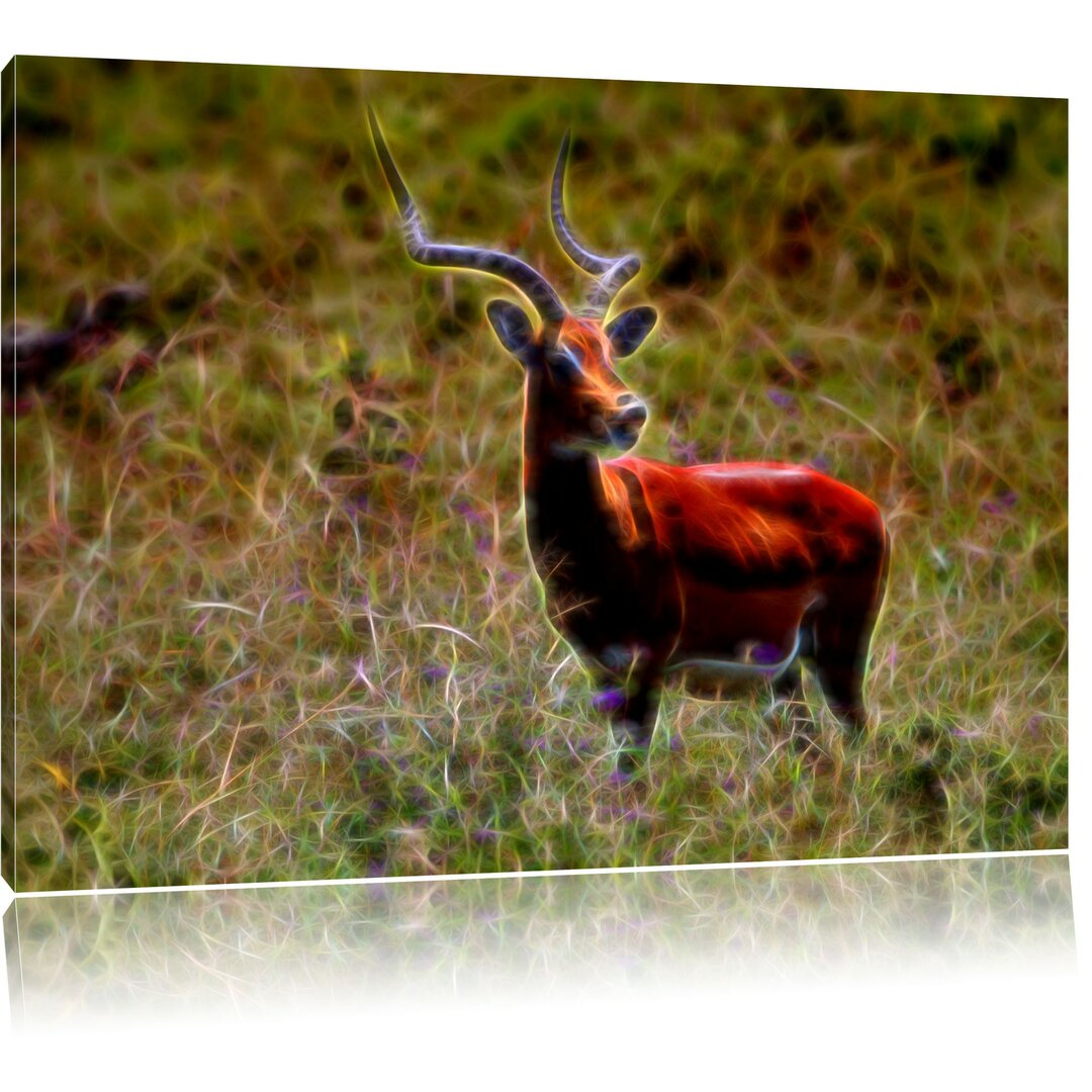 Leinwandbild Dorkasgazelle im Wildgras in Dunkelgrün/Braun