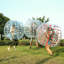 Boule gonflable gonflable-81243476