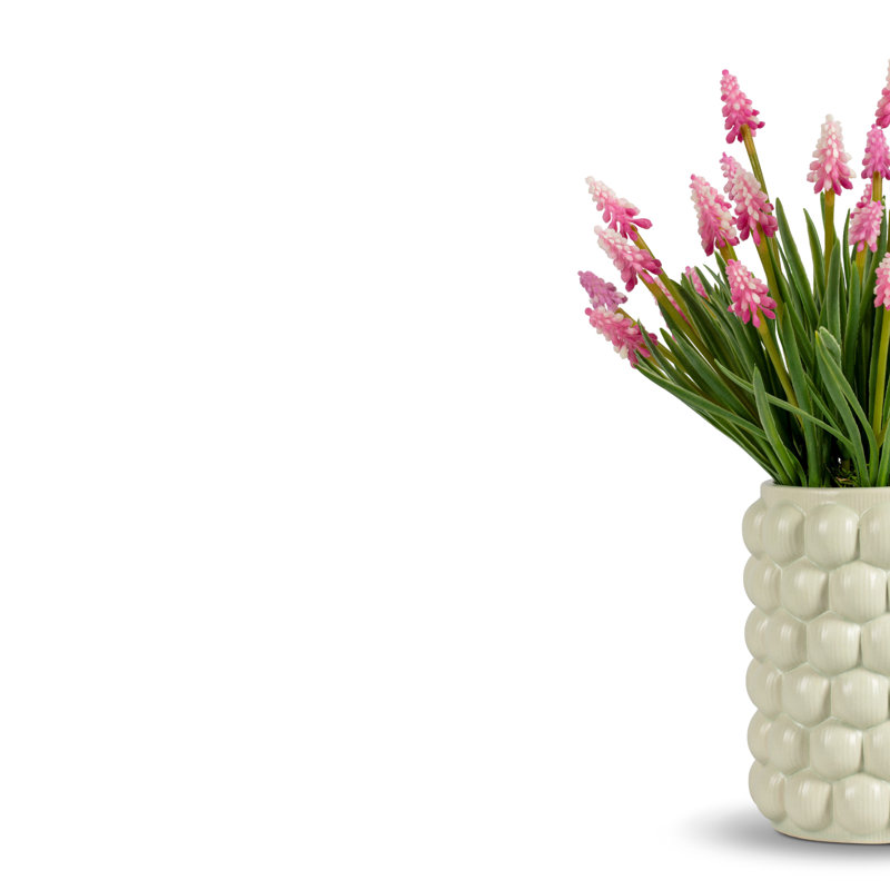 Bastien Hyacinth Arrangement