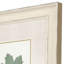 Leaf Adorned II Set by Giclee Studio