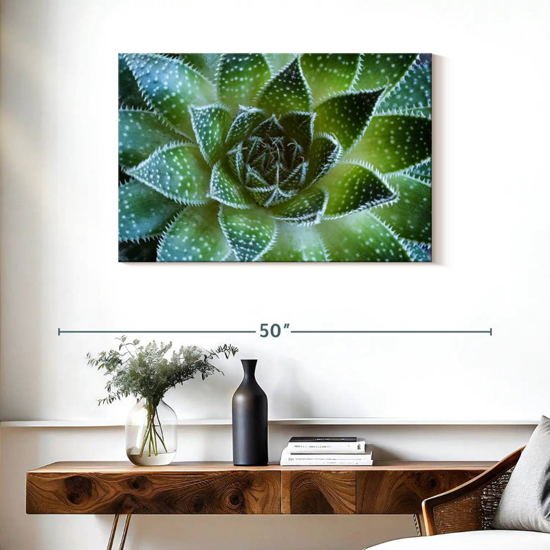 Harnek Lace Aloe Succulent