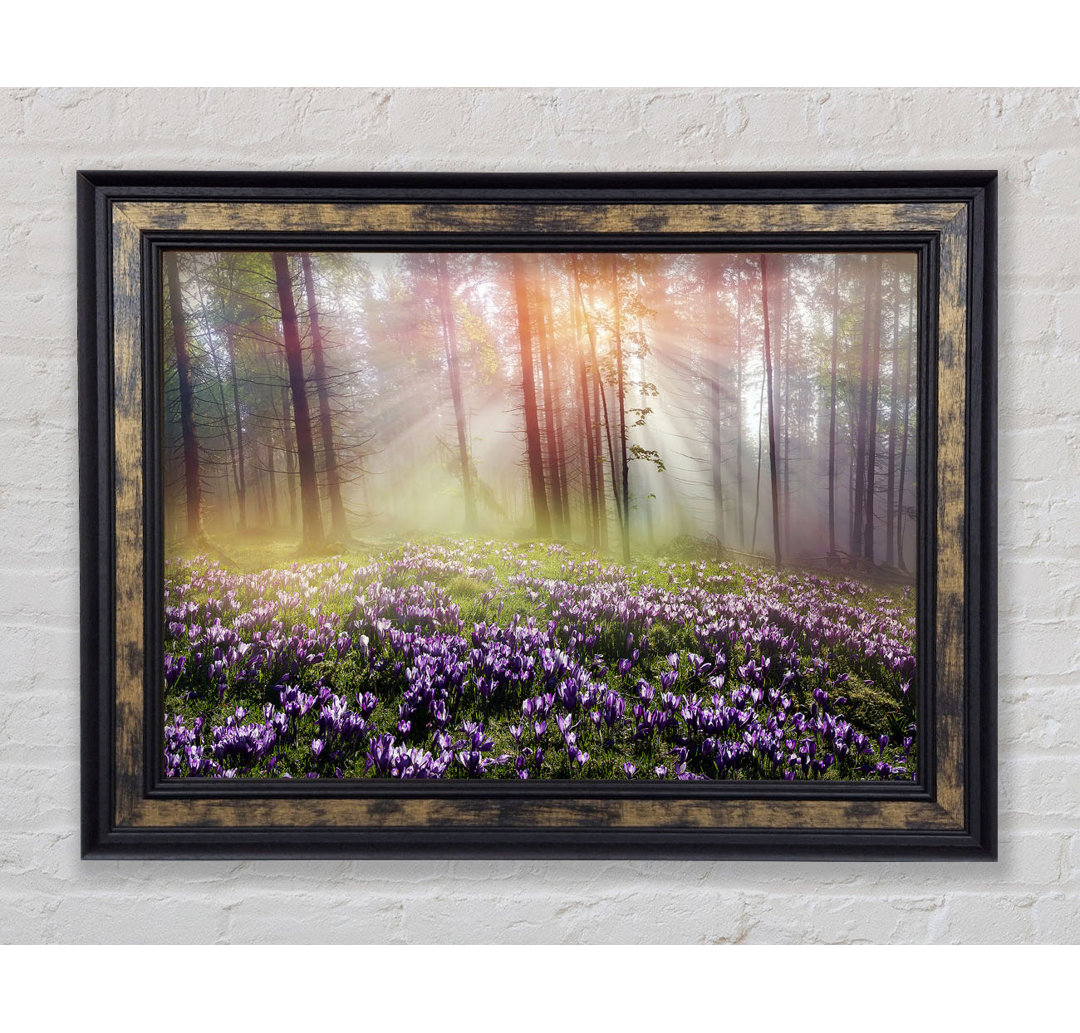 Sun Through The Bluebell Woodland - Einzelner Bilderrahmen Kunstdrucke