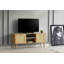 Shamong TV Stand