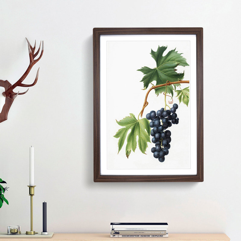 Brachetto Grapes by Giorgio Gallesio - Picture Frame Painting Print, Walnut Framed, 65cm H x 48cm W x 2cm D